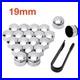 20x19mm Silver Wheel Nut & Bolt Caps Inc Locking Caps + Removal Tool Fit Any Car
